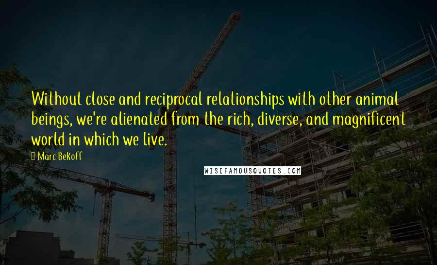 Marc Bekoff quotes: Without close and reciprocal relationships with other animal beings, we're alienated from the rich, diverse, and magnificent world in which we live. Marc Bekoff quotes: Without close and reciprocal relationships with other animal beings, we're alienated from the rich, diverse, and magnificent world in which we live.