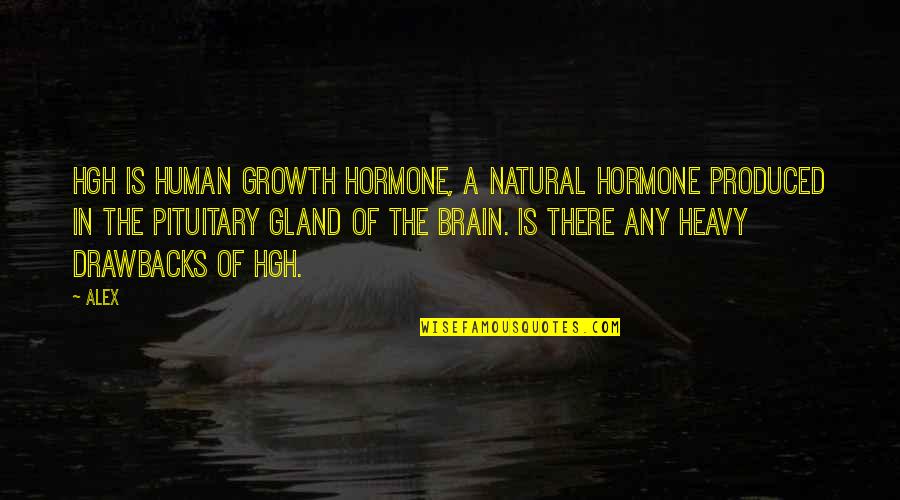 Marc Bloch The Historian's Craft Quotes By Alex: HGH is Human Growth Hormone, a natural hormone