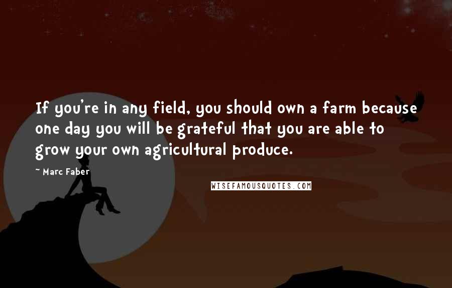 Marc Faber quotes: If you're in any field, you should own a farm because one day you will be grateful that you are able to grow your own agricultural produce.