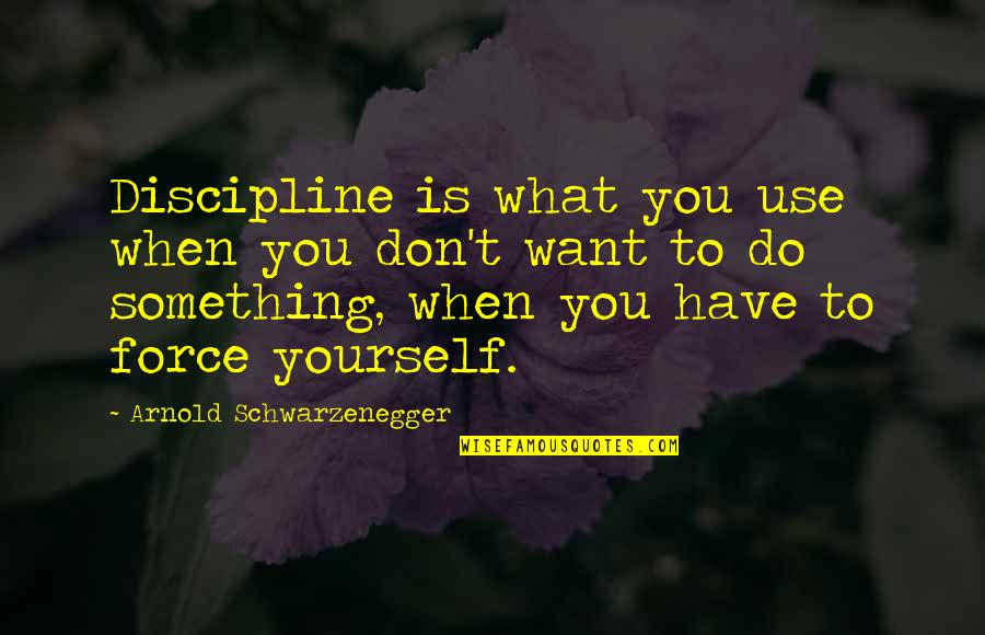 Marcada Map Quotes By Arnold Schwarzenegger: Discipline is what you use when you don't