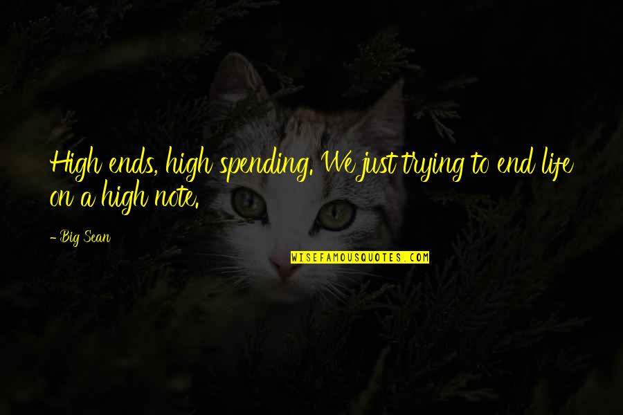 Marceau Camille Quotes By Big Sean: High ends, high spending. We just trying to