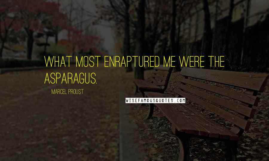 Marcel Proust quotes: What most enraptured me were the asparagus.