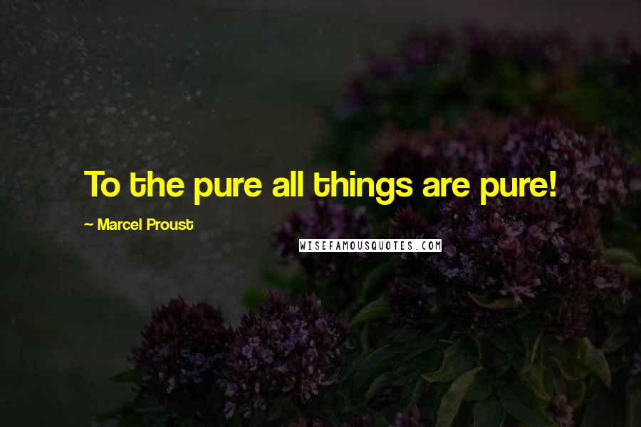 Marcel Proust quotes: To the pure all things are pure!