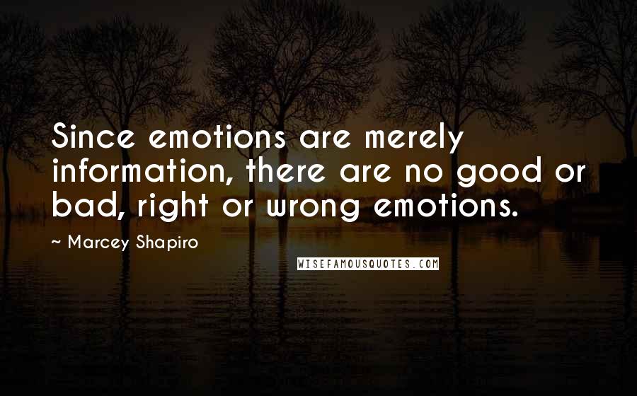Marcey Shapiro quotes: Since emotions are merely information, there are no good or bad, right or wrong emotions.