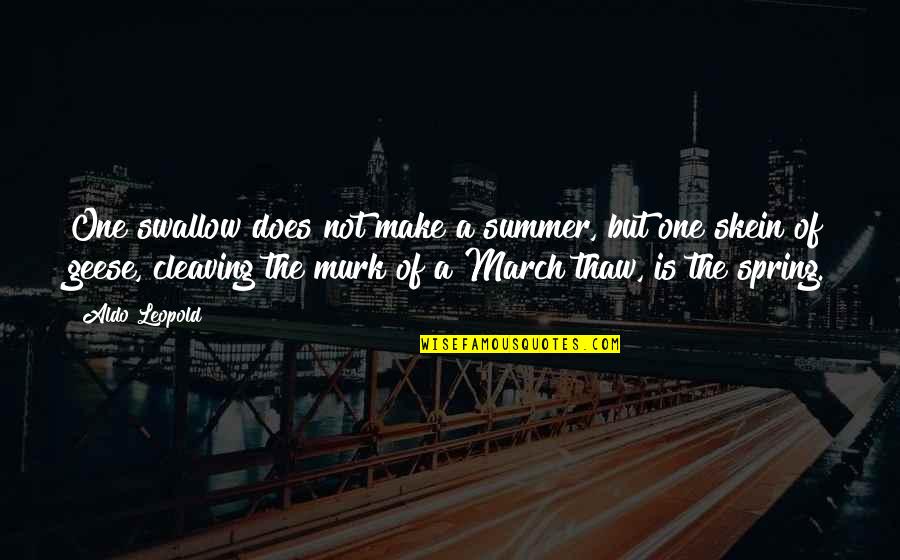 March Summer Quotes By Aldo Leopold: One swallow does not make a summer, but