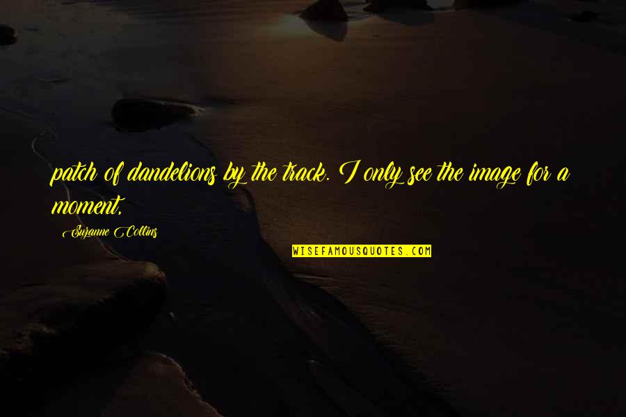 Marchandises En Quotes By Suzanne Collins: patch of dandelions by the track. I only Marchandises En Quotes By Suzanne Collins: patch of dandelions by the track. I only