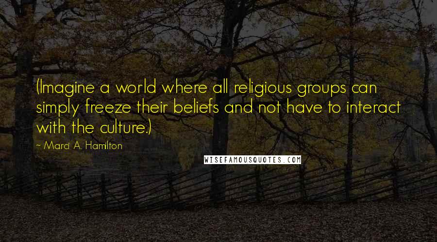 Marci A. Hamilton quotes: (Imagine a world where all religious groups can simply freeze their beliefs and not have to interact with the culture.)
