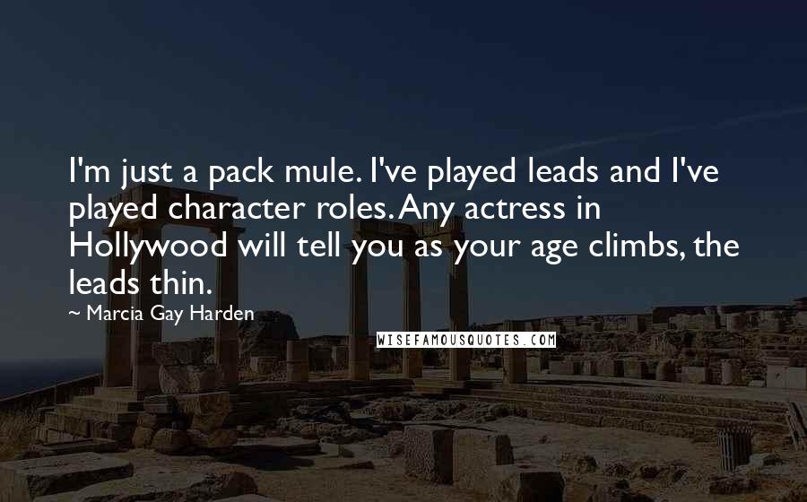 Marcia Gay Harden quotes: I'm just a pack mule. I've played leads and I've played character roles. Any actress in Hollywood will tell you as your age climbs, the leads thin. Marcia Gay Harden quotes: I'm just a pack mule. I've played leads and I've played character roles. Any actress in Hollywood will tell you as your age climbs, the leads thin.
