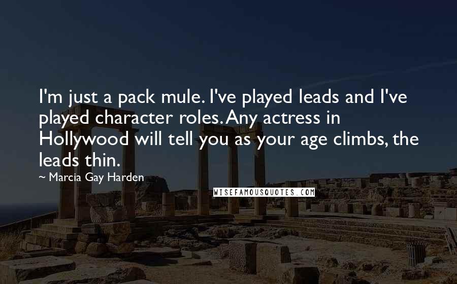 Marcia Gay Harden quotes: I'm just a pack mule. I've played leads and I've played character roles. Any actress in Hollywood will tell you as your age climbs, the leads thin.