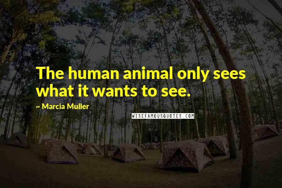 Marcia Muller quotes: The human animal only sees what it wants to see.