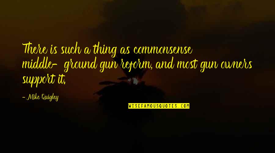 Marcile Oralitatii Quotes By Mike Quigley: There is such a thing as commonsense middle-ground Marcile Oralitatii Quotes By Mike Quigley: There is such a thing as commonsense middle-ground