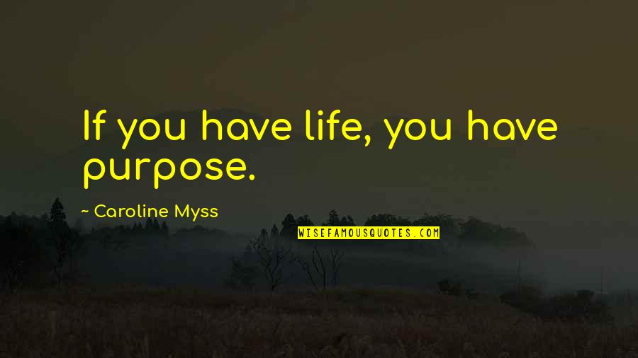 Marcinkowski Mateusz Quotes By Caroline Myss: If you have life, you have purpose.