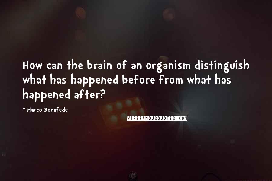 Marco Bonafede quotes: How can the brain of an organism distinguish what has happened before from what has happened after?
