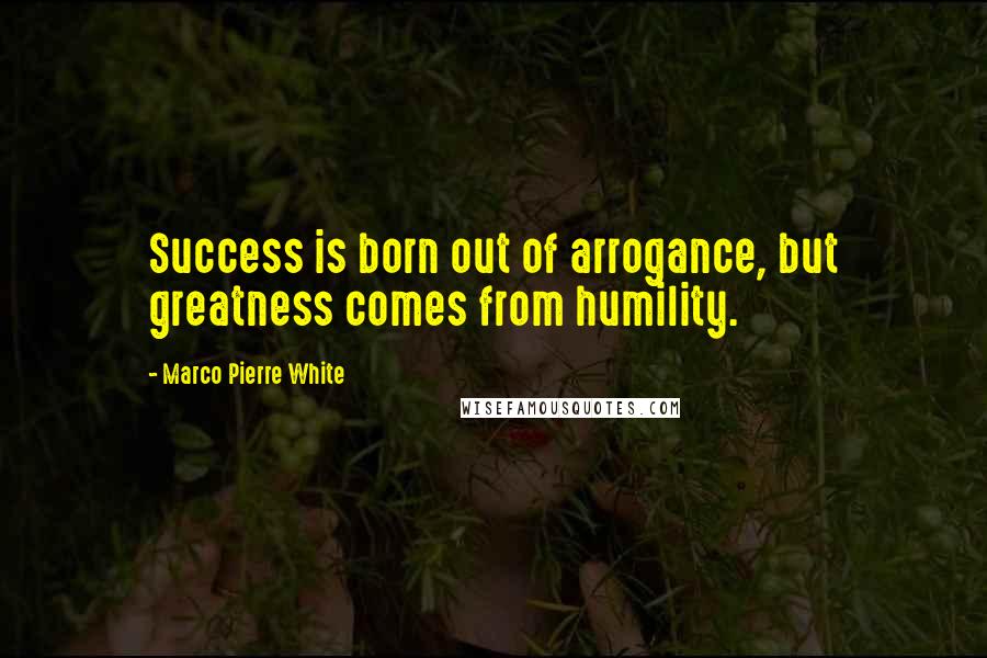 Marco Pierre White quotes: Success is born out of arrogance, but greatness comes from humility.