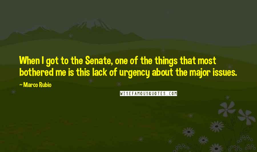 Marco Rubio quotes: When I got to the Senate, one of the things that most bothered me is this lack of urgency about the major issues. Marco Rubio quotes: When I got to the Senate, one of the things that most bothered me is this lack of urgency about the major issues.