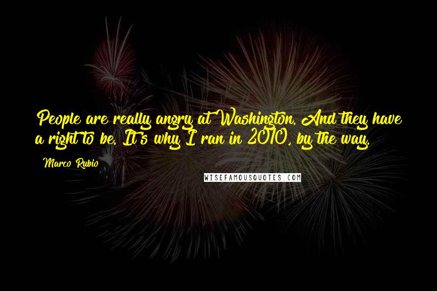 Marco Rubio quotes: People are really angry at Washington. And they have a right to be. It's why I ran in 2010, by the way.