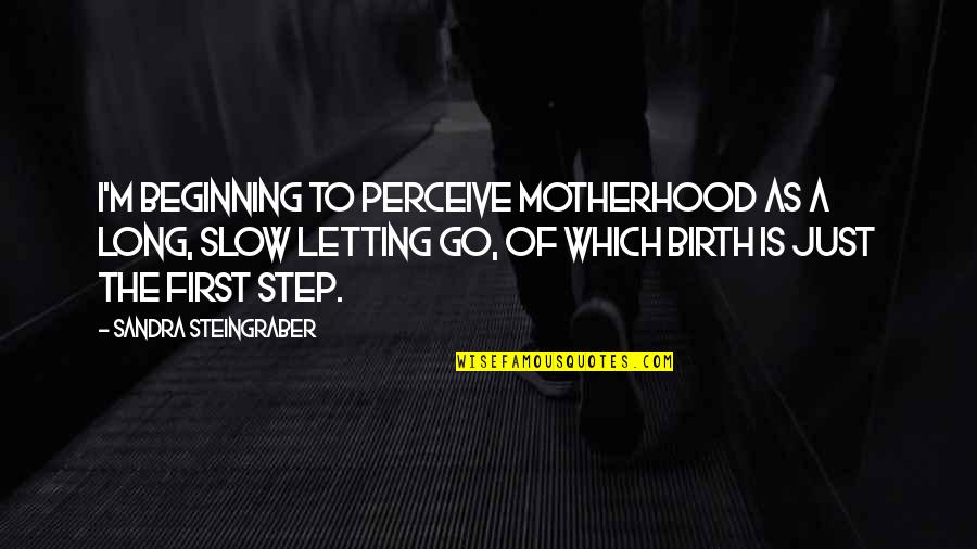 Marcoleta Zarate Quotes By Sandra Steingraber: I'm beginning to perceive motherhood as a long, Marcoleta Zarate Quotes By Sandra Steingraber: I'm beginning to perceive motherhood as a long,
