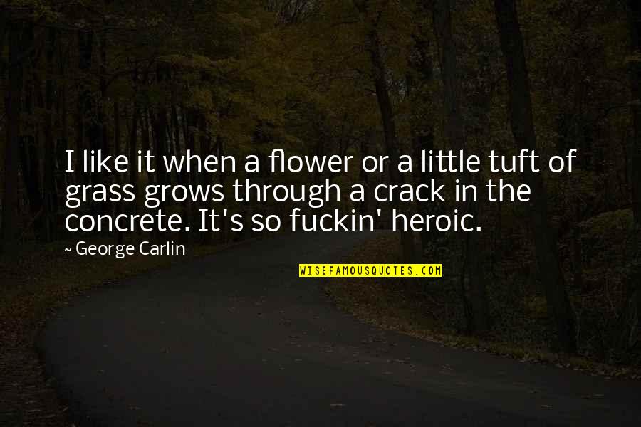 Marcroft Street Quotes By George Carlin: I like it when a flower or a