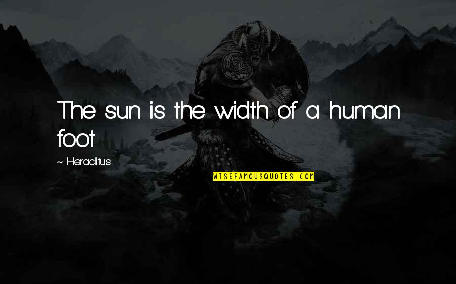Marcucella Nancy Quotes By Heraclitus: The sun is the width of a human Marcucella Nancy Quotes By Heraclitus: The sun is the width of a human