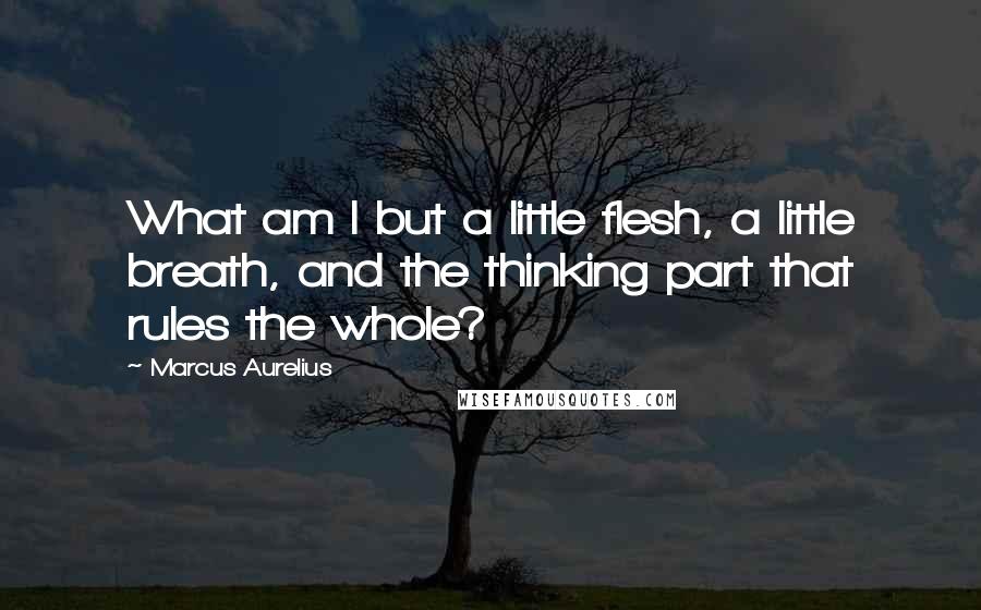 Marcus Aurelius quotes: What am I but a little flesh, a little breath, and the thinking part that rules the whole?