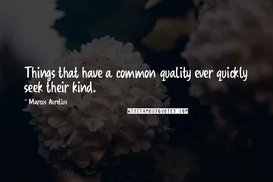 Marcus Aurelius quotes: Things that have a common quality ever quickly seek their kind.