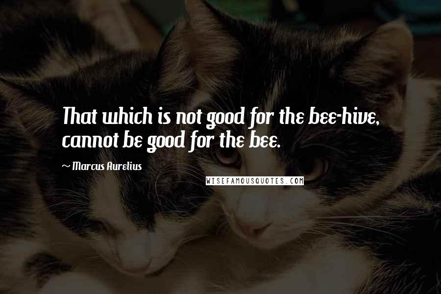 Marcus Aurelius quotes: That which is not good for the bee-hive, cannot be good for the bee.