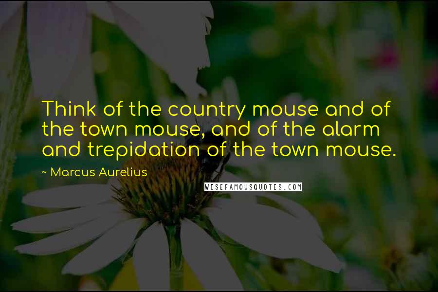 Marcus Aurelius quotes: Think of the country mouse and of the town mouse, and of the alarm and trepidation of the town mouse.