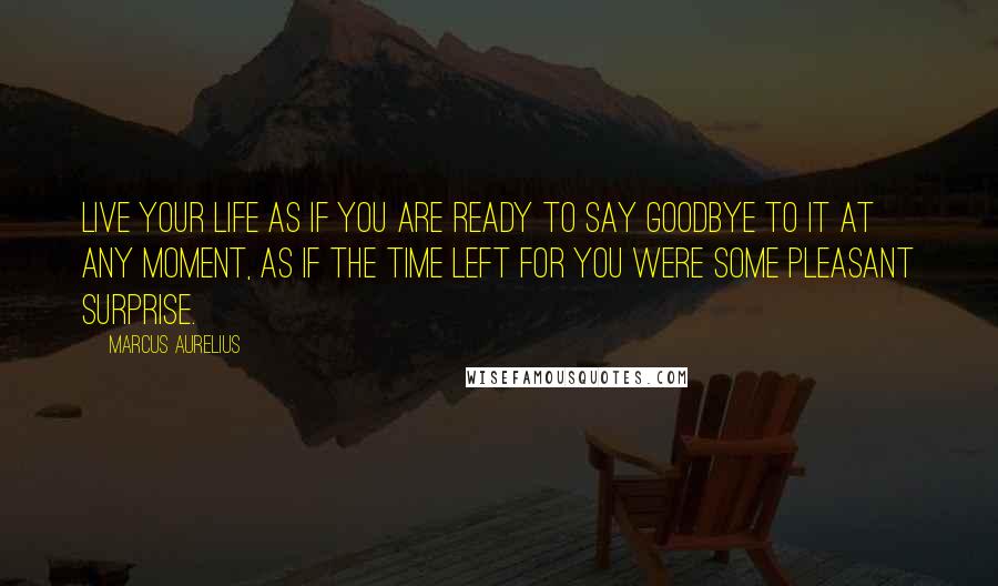 Marcus Aurelius quotes: Live your life as if you are ready to say goodbye to it at any moment, as if the time left for you were some pleasant surprise.
