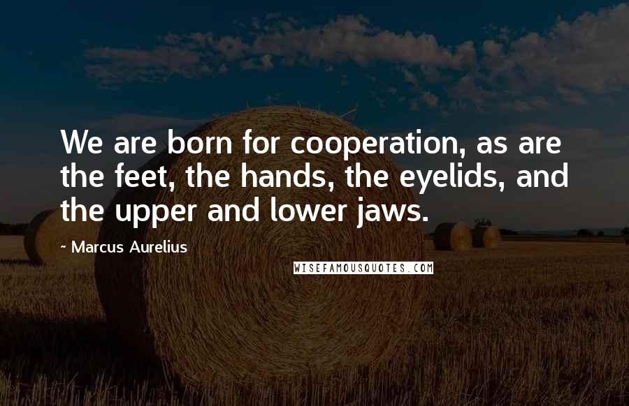 Marcus Aurelius quotes: We are born for cooperation, as are the feet, the hands, the eyelids, and the upper and lower jaws.