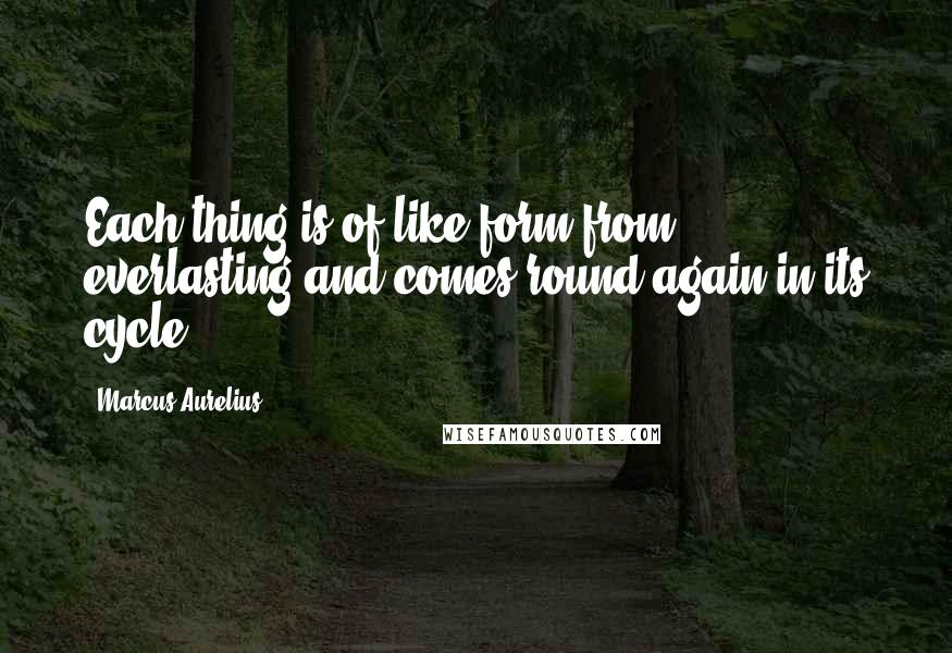 Marcus Aurelius quotes: Each thing is of like form from everlasting and comes round again in its cycle.