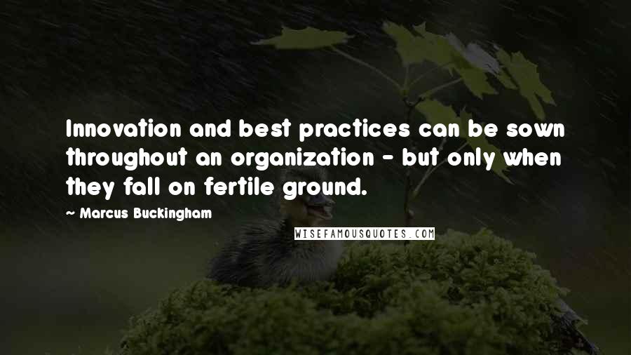 Marcus Buckingham quotes: Innovation and best practices can be sown throughout an organization - but only when they fall on fertile ground. Marcus Buckingham quotes: Innovation and best practices can be sown throughout an organization - but only when they fall on fertile ground.