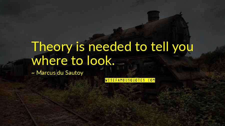 Marcus Du Sautoy Quotes By Marcus Du Sautoy: Theory is needed to tell you where to Marcus Du Sautoy Quotes By Marcus Du Sautoy: Theory is needed to tell you where to