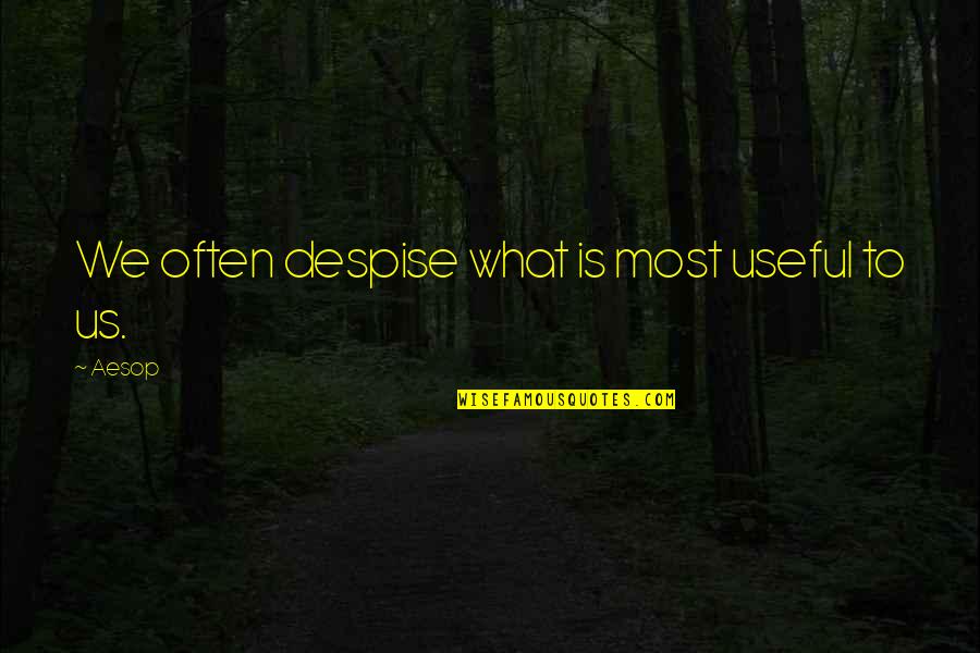 Marcus Flutie Quotes By Aesop: We often despise what is most useful to