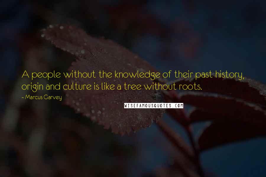 Marcus Garvey quotes: A people without the knowledge of their past history, origin and culture is like a tree without roots.