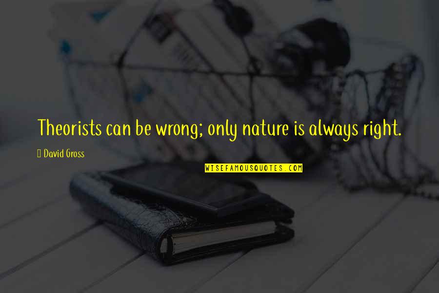 Marcus Hutchins Quotes By David Gross: Theorists can be wrong; only nature is always Marcus Hutchins Quotes By David Gross: Theorists can be wrong; only nature is always