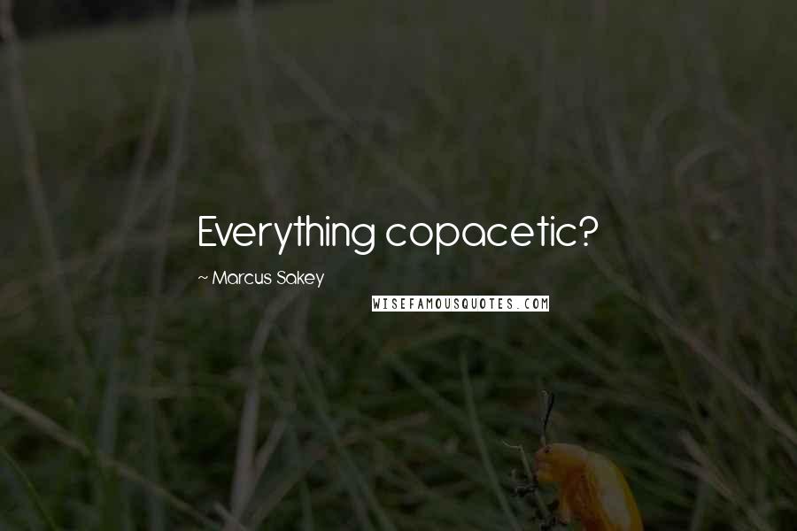 Marcus Sakey quotes: Everything copacetic?