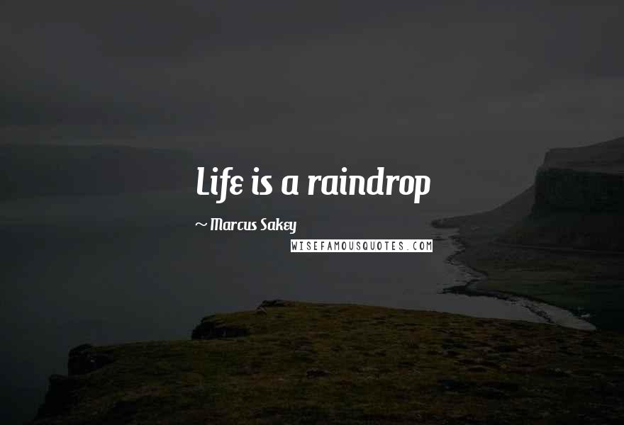 Marcus Sakey quotes: Life is a raindrop