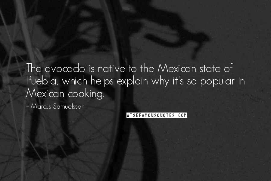 Marcus Samuelsson quotes: The avocado is native to the Mexican state of Puebla, which helps explain why it's so popular in Mexican cooking.