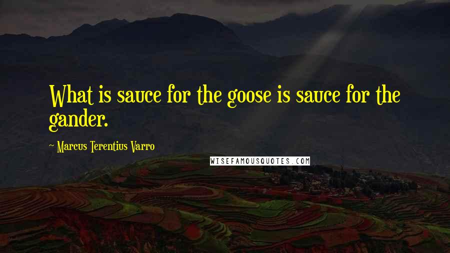 Marcus Terentius Varro quotes: What is sauce for the goose is sauce for the gander.