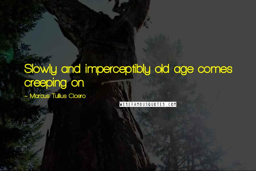 Marcus Tullius Cicero quotes: Slowly and imperceptibly old age comes creeping on.