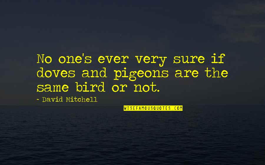 Marcy Blochowiak Quotes By David Mitchell: No one's ever very sure if doves and