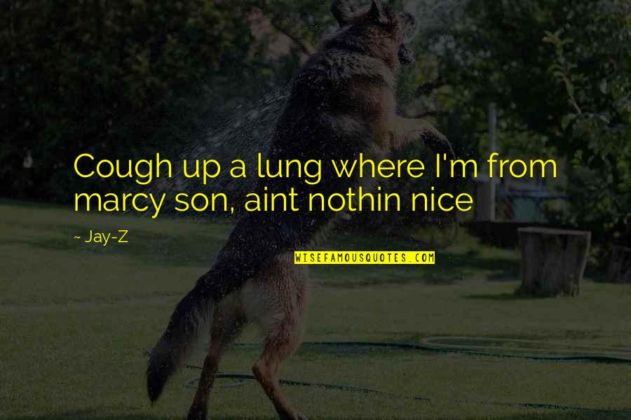 Marcy Quotes By Jay-Z: Cough up a lung where I'm from marcy