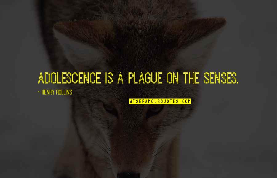 Mard Quotes By Henry Rollins: Adolescence is a plague on the senses.
