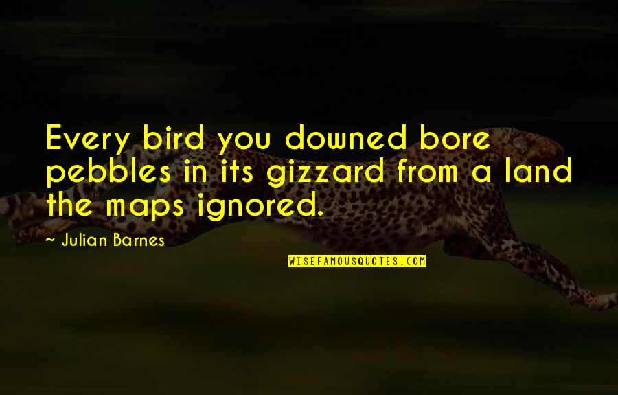Mardaga Orthodontist Quotes By Julian Barnes: Every bird you downed bore pebbles in its