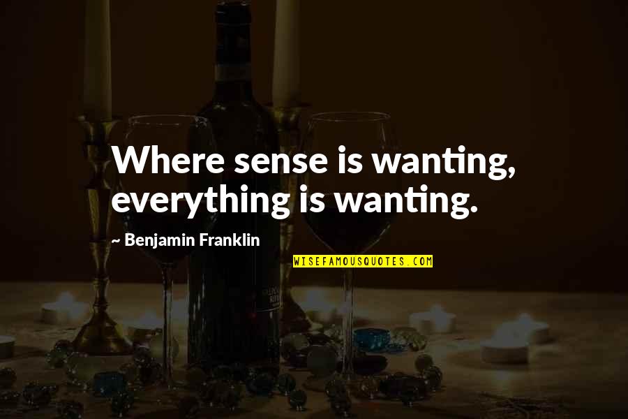 Mardi Gras Drinking Quotes By Benjamin Franklin: Where sense is wanting, everything is wanting.