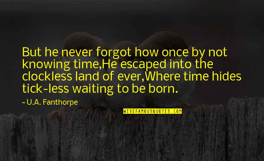 Mardou Game Quotes By U.A. Fanthorpe: But he never forgot how once by not Mardou Game Quotes By U.A. Fanthorpe: But he never forgot how once by not