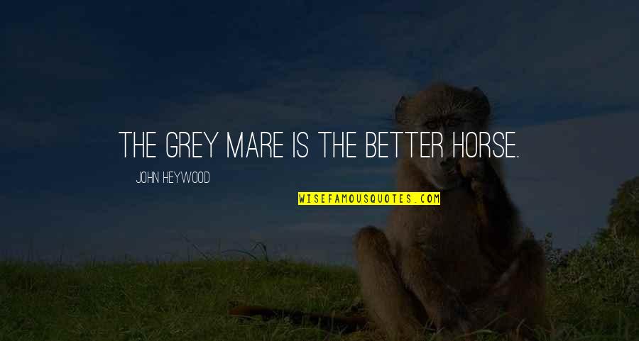 Mare Quotes By John Heywood: The grey mare is the better horse. Mare Quotes By John Heywood: The grey mare is the better horse.
