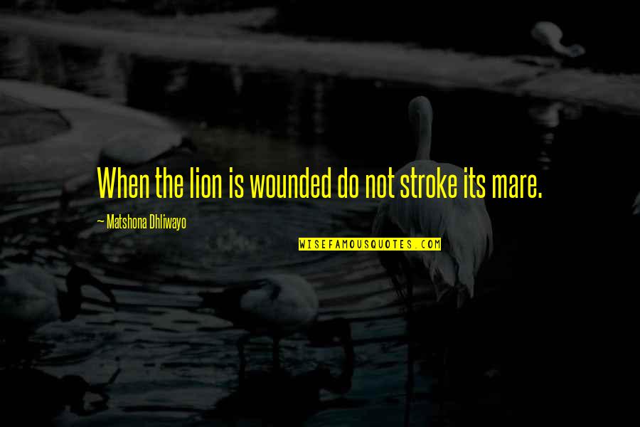 Mare Quotes By Matshona Dhliwayo: When the lion is wounded do not stroke Mare Quotes By Matshona Dhliwayo: When the lion is wounded do not stroke