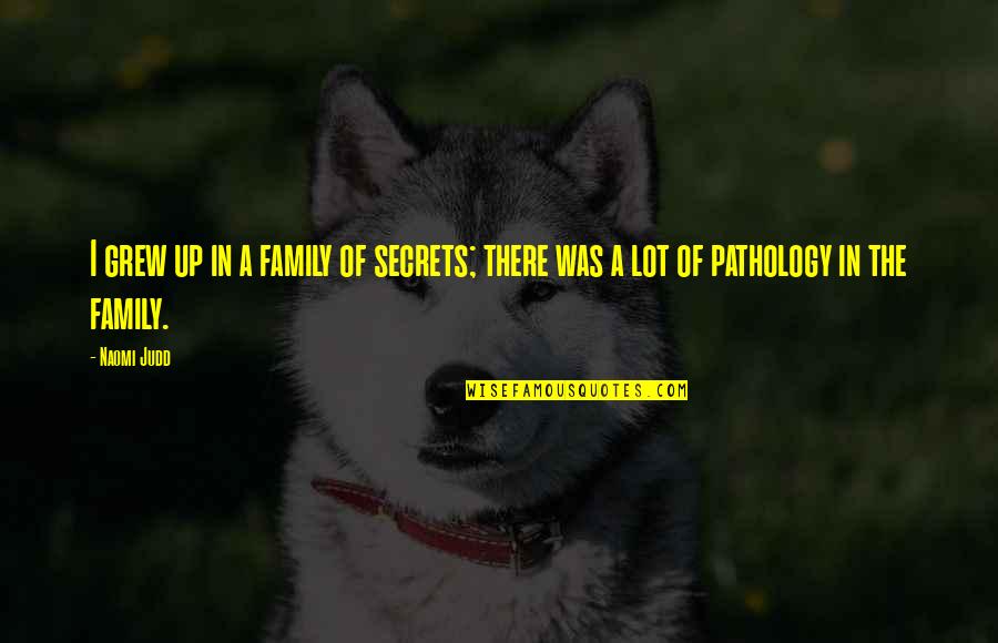 Marelisa Vallarino Quotes By Naomi Judd: I grew up in a family of secrets;