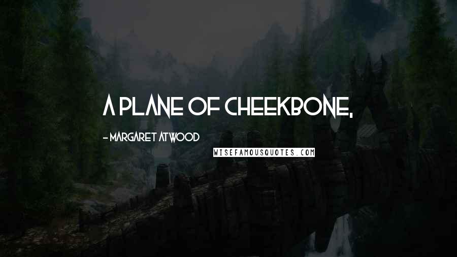 Margaret Atwood quotes: A plane of cheekbone,